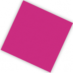 Салфетки двухслойные 